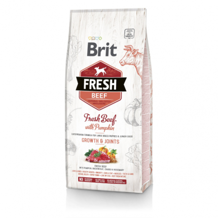 BRIT Fresh Puppy Large Marha & Sütőtök