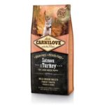 CarniLove Puppy Large - Salmon & Turkey