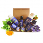 MyBulldog Teszter Csomag