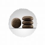 Josera Festival - Image 2