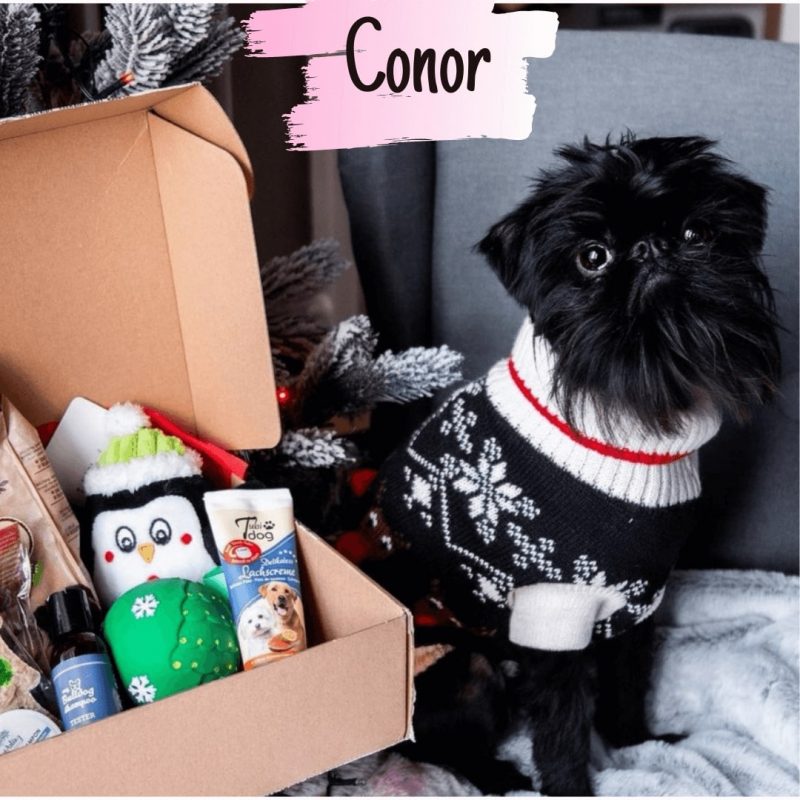 Meglepetés dobozok kutyáknak (3)