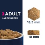 Eukanuba Adult Large Breed - Image 3