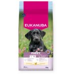 Eukanuba Puppy Large Breed