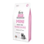 Brit Care MINI - Yorkshire