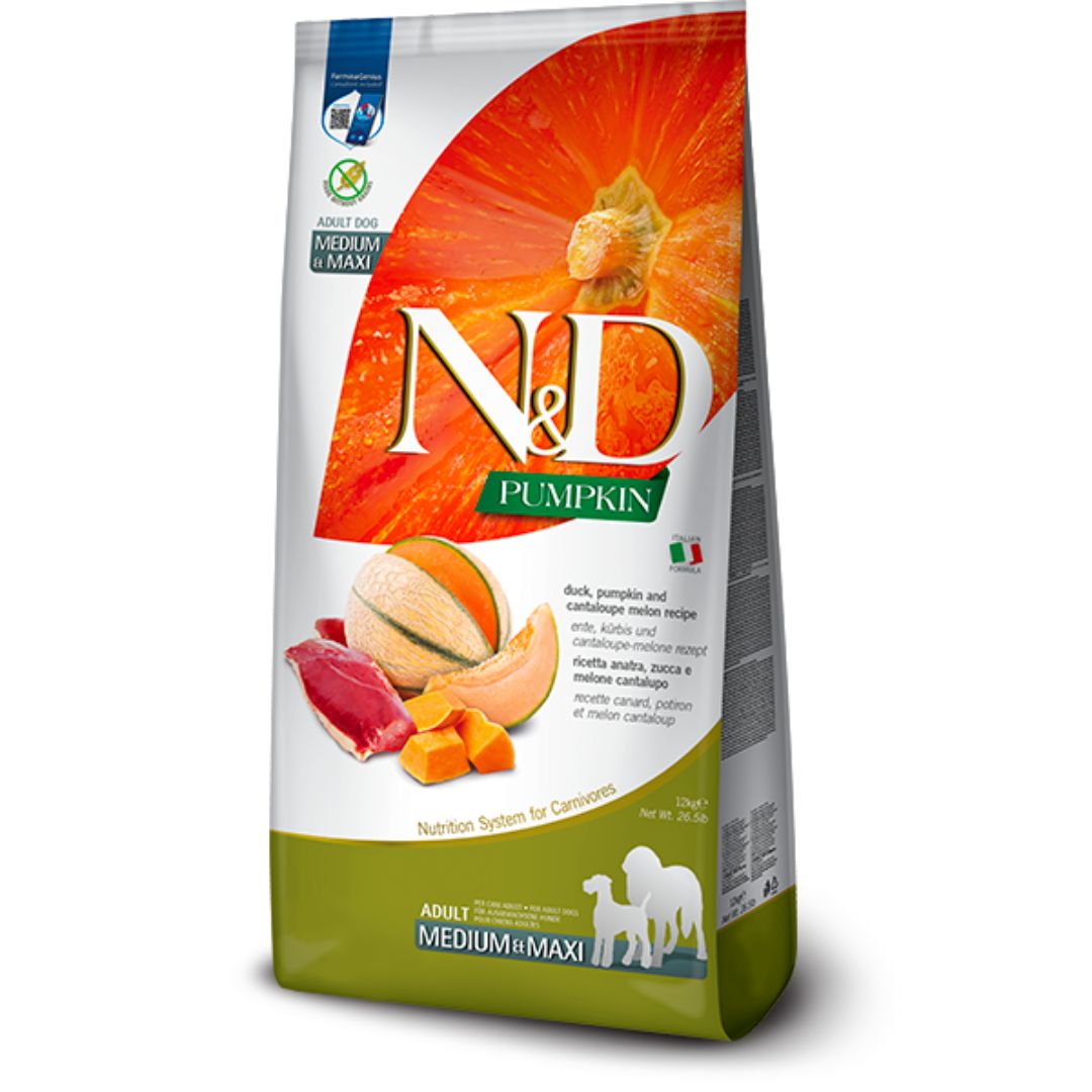 Pumpkin Adult Medium/Maxi Pumpkin Adult Medium/Maxi