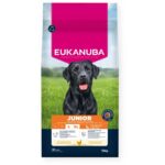Eukanuba Junior Large Breed - Friss Csirkehússal